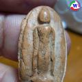 amulet ͧ лҧԴš ⢷ ҷ§  Ҵ