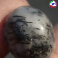 觢⪤ 33.05 ѵ ԴǢ硹ӵѹտ ҡԹ ӻҧ