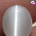 µ բǹ  5.65 ѵ Ҵǹ T-8263
