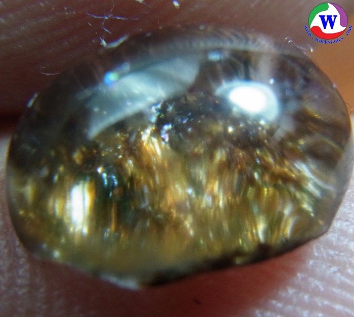 ٻҾ2 ͧԹ : 觢⪤ 3.75 ѵ ԴǻǡͧǡӵŻСྪ ͧԹ ӻҧ