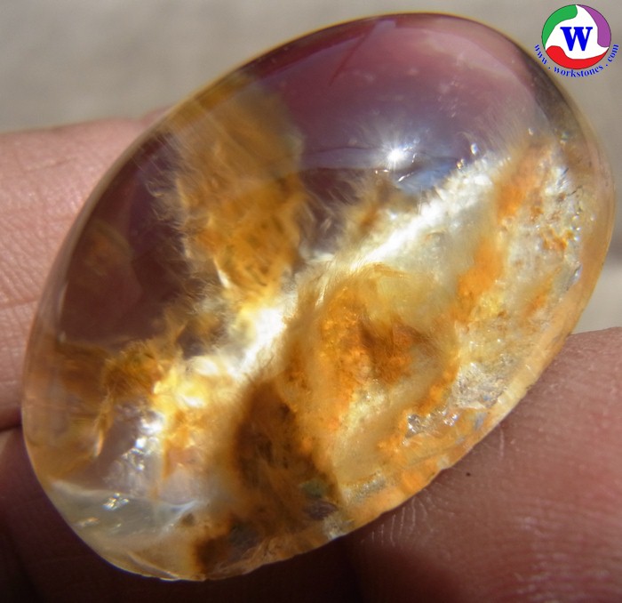 ٻҾ2 ͧԹ : 觢⪤ 90.35 ѵ оسʹաҺշͧŢ 9  T-7823
