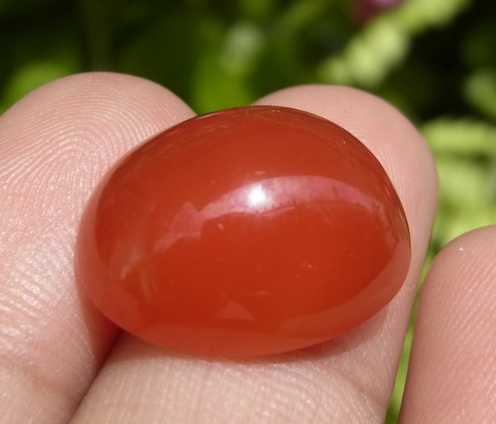 ٻҾ3 ͧԹ : Էлᴧ 12.90 ѵ