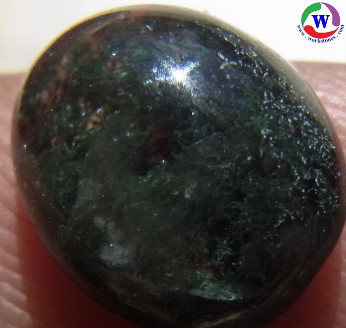 ٻҾ3 ͧԹ : 觢⪤ 4.90 ѵ Դǻǡǿ T-8167