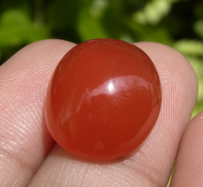 ٻҾ4 ͧԹ : Էлᴧ 12.90 ѵ