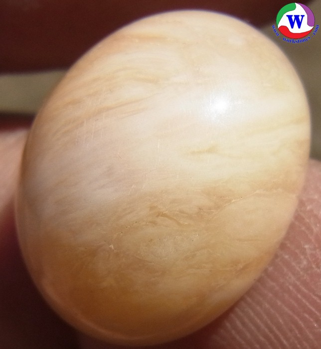 ٻҾ4 ͧԹ :  觢⪤ 22.60 ѵ Ǩѹûͧǹ ҹ ⪤