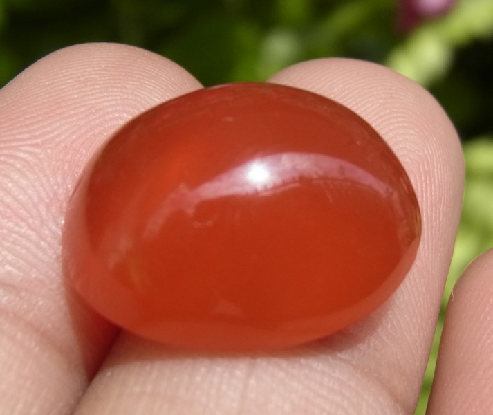ٻҾ5 ͧԹ : Էлᴧ 12.90 ѵ
