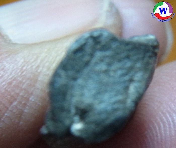 ٻҾ5 ͧԹ : amulet ͧ лҧԴš ⢷ ҷ§  Ҵ