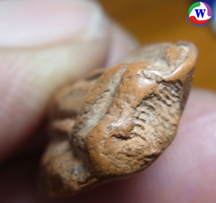 ٻҾ5 ͧԹ : amulet ͧ лҧԴš ⢷ ҷ§  Ҵ
