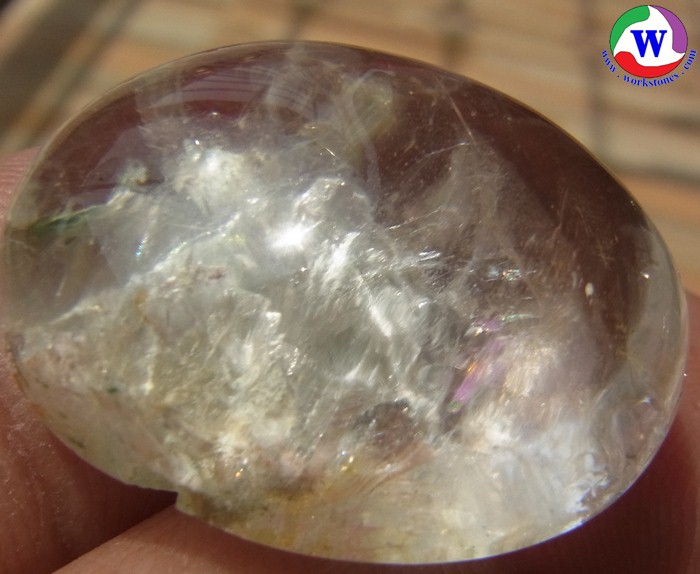 ٻҾ5 ͧԹ : 觢⪤ 50.00 ѵ ԴǾسʹբ Һ