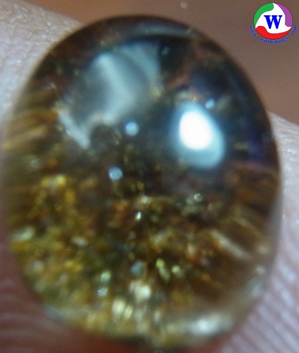 ٻҾ5 ͧԹ : 觢⪤ 3.75 ѵ ԴǻǡͧǡӵŻСྪ ͧԹ ӻҧ