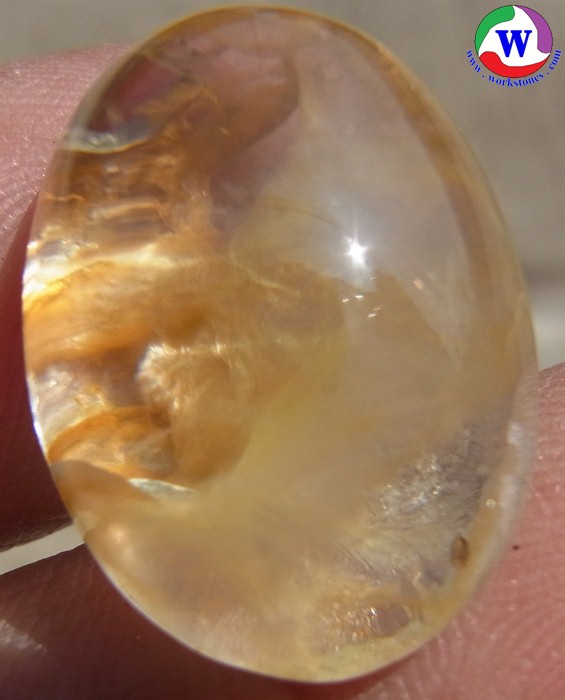 ٻҾ5 ͧԹ : 觢⪤ 29.00 ѵ ǾسʹաҺշͧ T-7822 