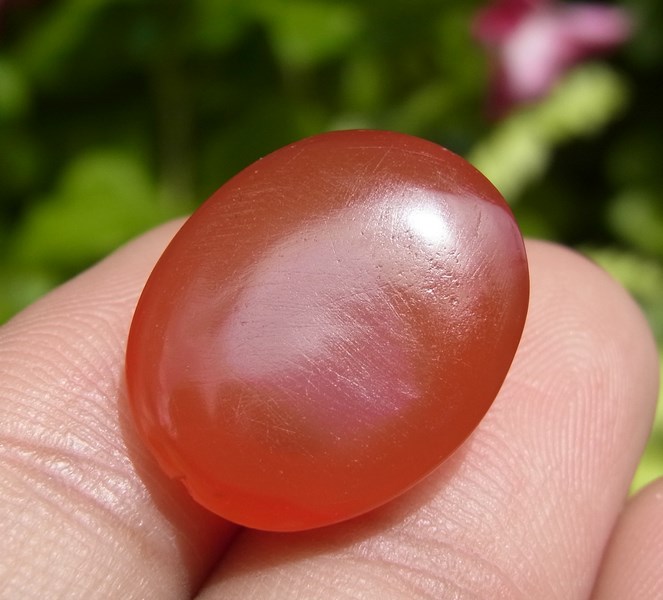 ٻҾ6 ͧԹ : Էлᴧ 12.90 ѵ